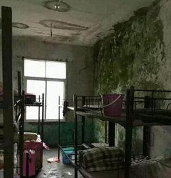 临沂东宿舍爆料案件最新,惊人真相揭开校园疑云